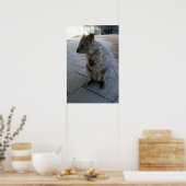 Grey Furry Australian Quokka, Poster (Cuisine)