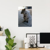 Grey Furry Australian Quokka, Poster (Bureau à domicile)