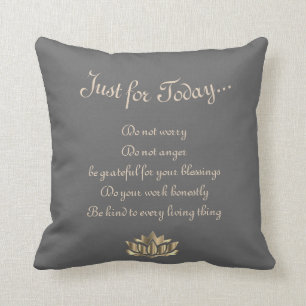 Grey Gray Reiki Beginselen Kussen