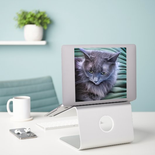 Grey Green Eyed Cat Custom-Cut Vinyl Sticker (Laptop op bureau)