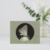 Grey Hairstreak Butterfly Briefkaart (Staand voorkant)