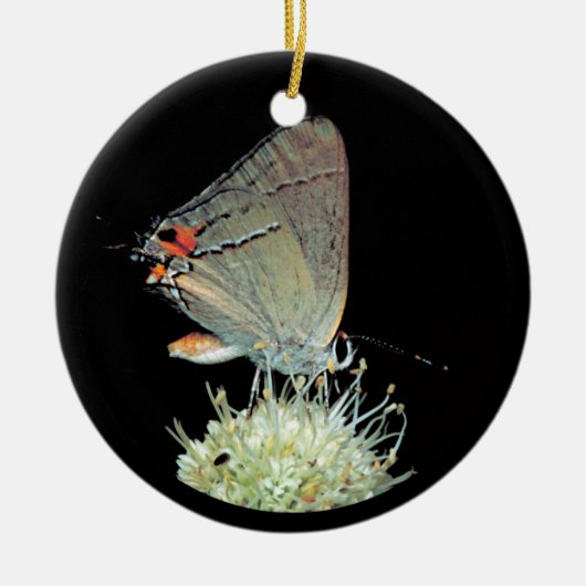 Grey Hairstreak Butterfly Keramisch Ornament (Voorkant)