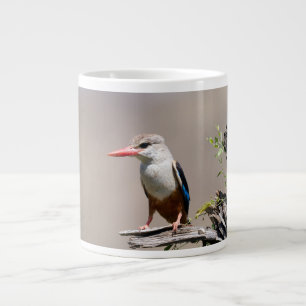 Grey-Headed Kingfisher Extra Grote Beker