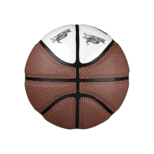 Grey kitten basketbal (Rechts)