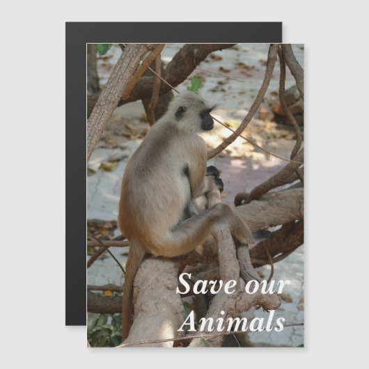 Grey Langur - Neem een Rest (Voorkant / Achterkant)