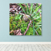 Grey Morel op canvas Afdruk (Insitu (Houten vloer))