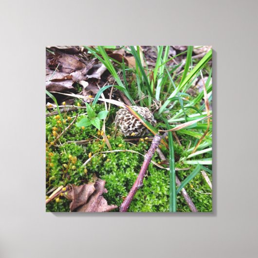Grey Morel op canvas Afdruk (Voorkant)