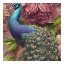 Grey Peacock Art Waterverf