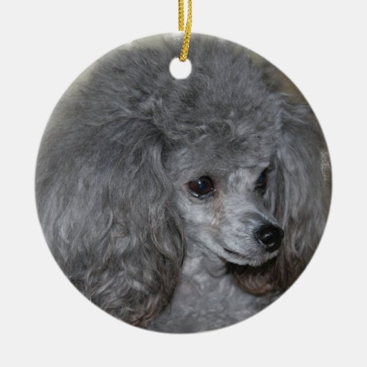 Grey Poodle Ornament (Voorkant)