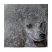 Grey Poodle Tile Tegeltje (Voorkant)