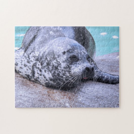 Grey Seal close-up Jigzaag Puzzle Legpuzzel (Horizontaal)