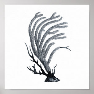 Grey Sealife groep 12A Afdrukken #11 Zee koraal Poster