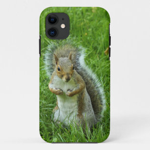 Grey Squirrel, Bute Park, Cardiff iPhone 11 Hoesje