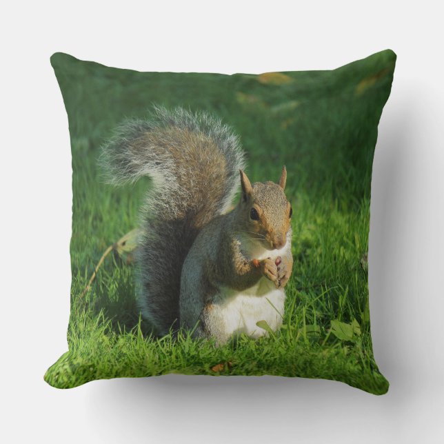 Grey Squirrel, Bute Park, Cardiff Kussen (Voorkant)