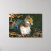 Grey Squirrel - Bute Park, Cardiff, Wales, VK Canvas Afdruk (Voorkant)