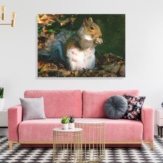 Grey Squirrel - Bute Park, Cardiff, Wales, VK Canvas Afdruk (Insitu (Woonkamer))