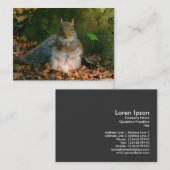 Grey Squirrel - Bute Park, Cardiff, Wales, VK Visitekaartje (Voorkant / Achterkant)