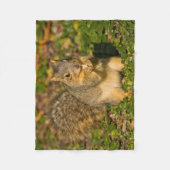 Grey Squirrel, eten, pinda, Crystal Springs Fleece Deken (Voorkant)