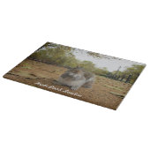 Grey Squirrel Hyde Park London. Snijplank (Hoek)