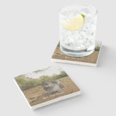 Grey Squirrel Hyde Park London. Stenen Onderzetter (Zijkant)