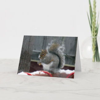 Grey Squirrel in de winter Feestdagen Kaart