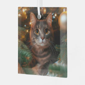 Grey Tabby Cat Glass Ornament (Voorkant links)