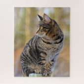 Grey Tabby Jigsaw Puzzle (Vertical)
