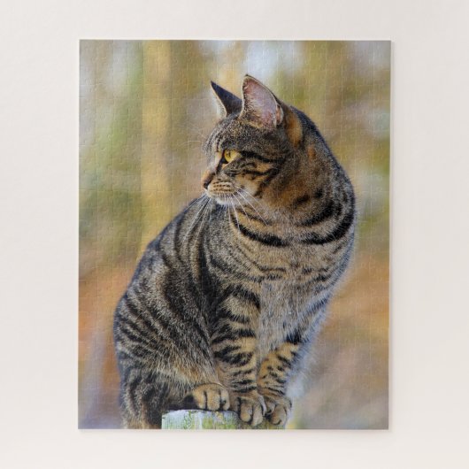 Grey Tabby Jigsaw Puzzle (Vertical)