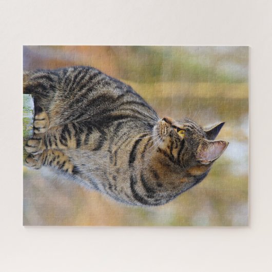 Grey Tabby Jigsaw Puzzle (Horizontal)