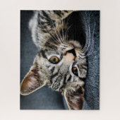 Grey Tabby Kitten Jigsaw Puzzle (Vertical)