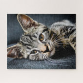 Grey Tabby Kitten Jigsaw Puzzle (Horizontal)