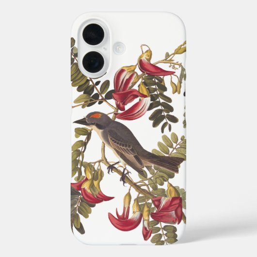 Grey Tyrant Audubon Bird op Hummingbird Tree Case-Mate iPhone Case (Achterkant)