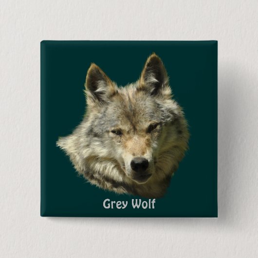 Grey Wolf Alpha Vrouw Wildlife-lover Vierkante Button 5,1 Cm (Voorkant)