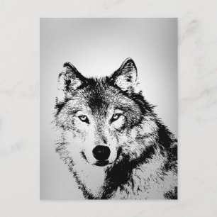 Grey Wolf Briefkaart