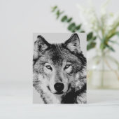 Grey Wolf Eyes Briefkaart (Staand voorkant)