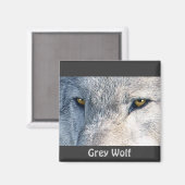 Grey Wolf Eyes Wildlife Collectie Magneet (Voorkant / Achterkant)