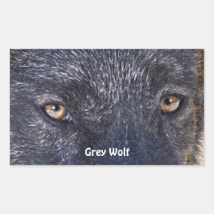 GREY WOLF EYES Wildlife Supporter Stickers