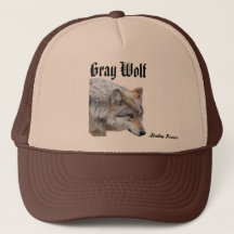 Grey Wolf pet