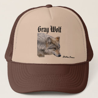 Grey Wolf pet