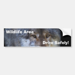 Grey Wolf Road Safety Bumpersticker