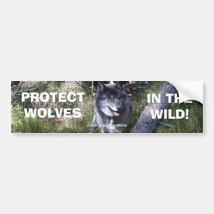 GREY WOLF Wildlife Conservation Bumpersticker