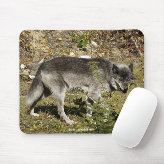 Grey Wolf Wildlife Muismat (Met muis)