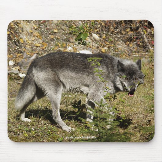 Grey Wolf Wildlife Muismat (Voorkant)