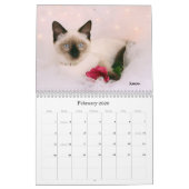 Greyfoot Cat Rescue 2013 Calendar Kalender (Feb 2026)