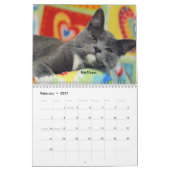 Greyfoot Cat Rescue 2016 Calendar Kalender (Feb 2027)