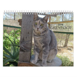 Greyfoot Cat Rescue 2018 Calendar Kalender