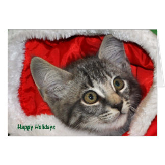 Greyfoot Cat Rescue Silver Grey Tablet Card