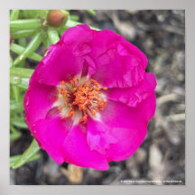 greyforaday Paarse Floral Print