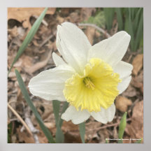 greyforaday White Floral Print