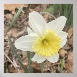 greyforaday White Floral Print